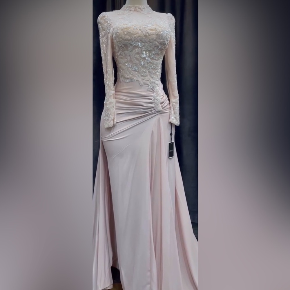 Blush Long Sleeve Gown